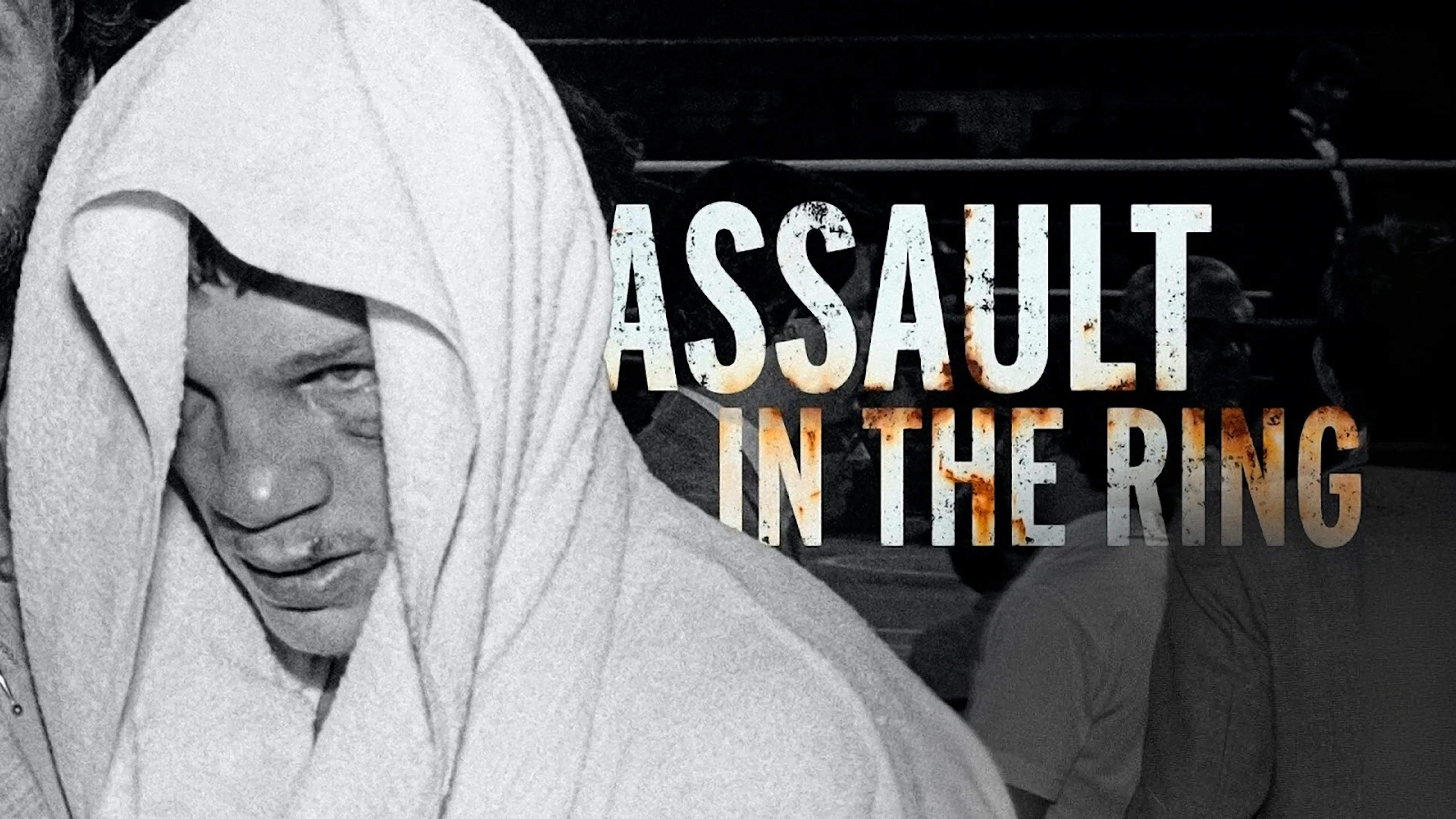 Assault in the Ring poster